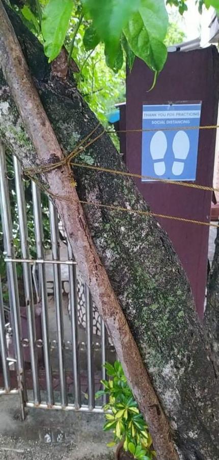 Melronz Inn Oslob Kültér fotó